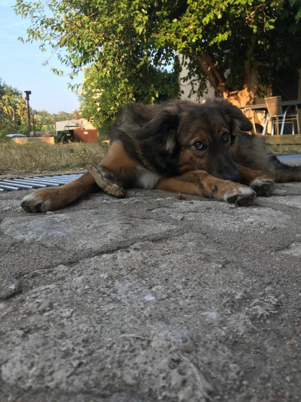 A Loghja Di Cavallo Morto Бонифачо Экстерьер фото